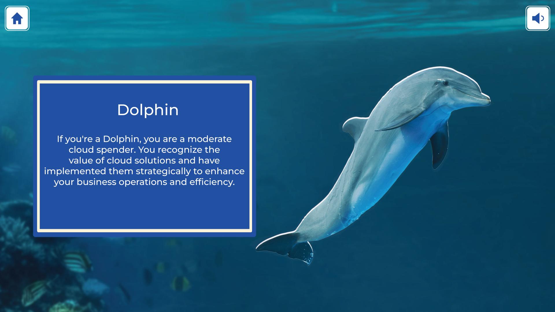 Personality Quiz: What Type of Cloud Spender Are You?